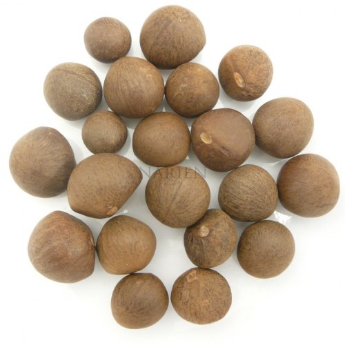 Tea Seeds Image